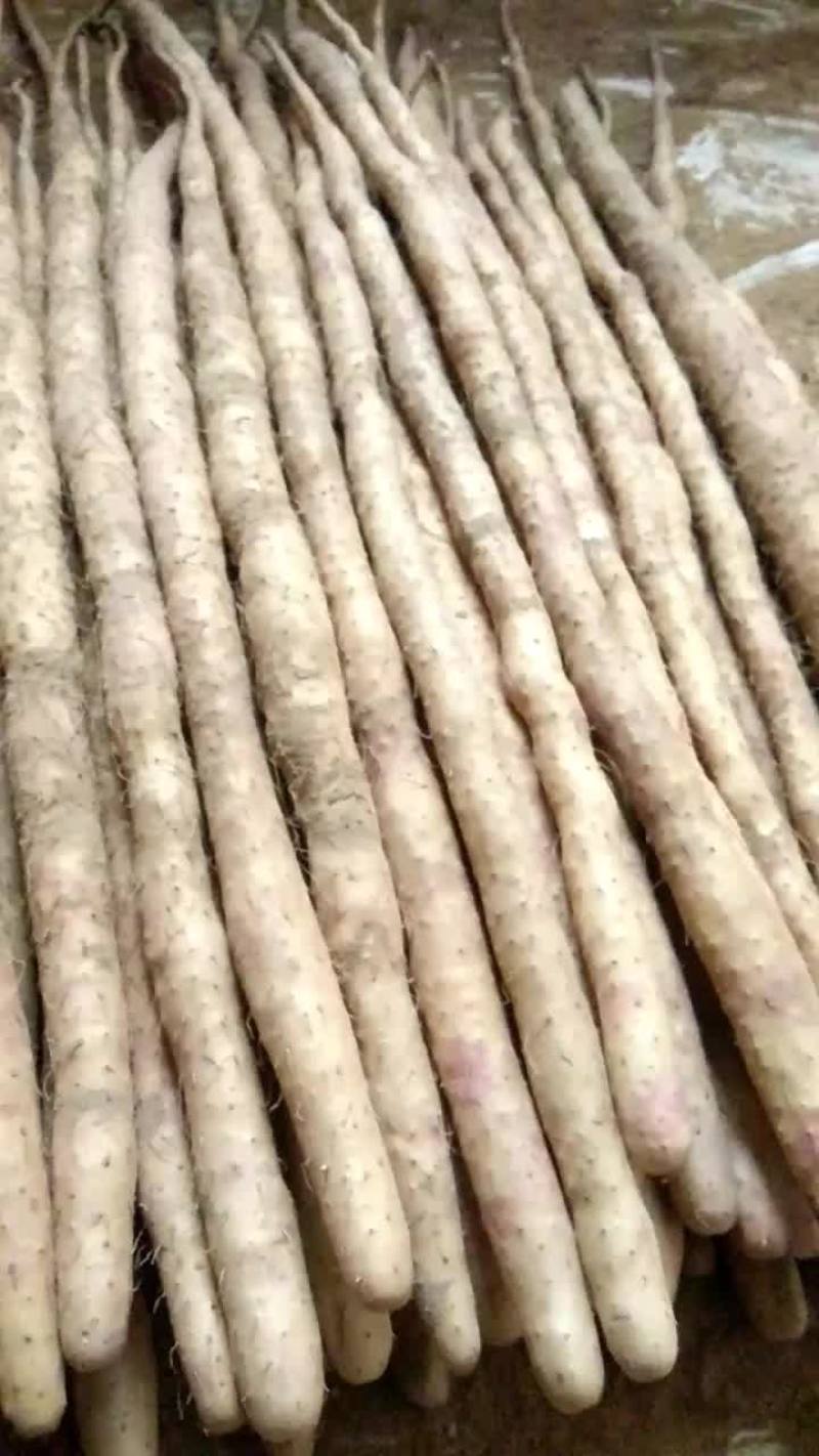 以优质的服务，诚意的态度做人，做事