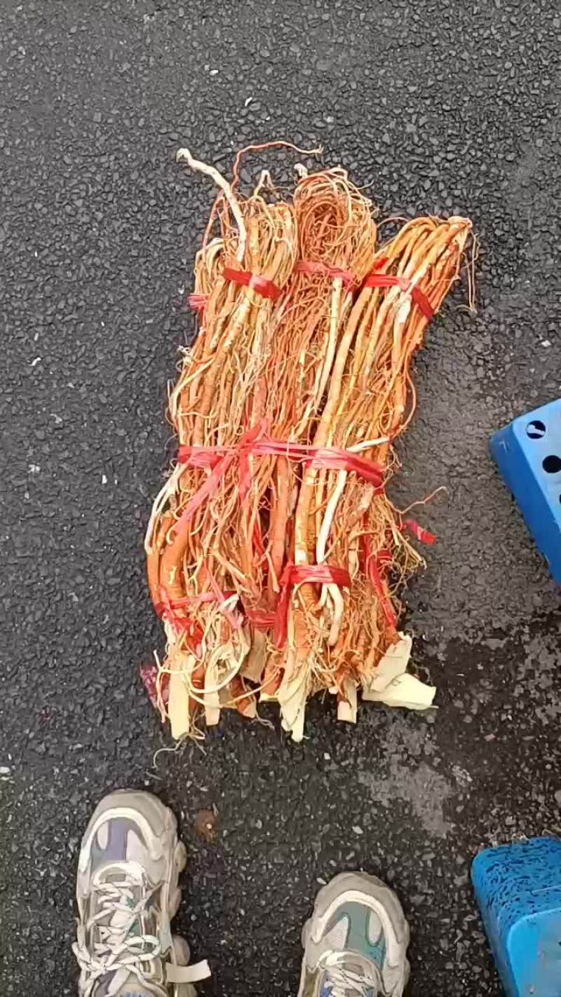 五指毛桃，无硫五指毛桃，无包心五指毛桃