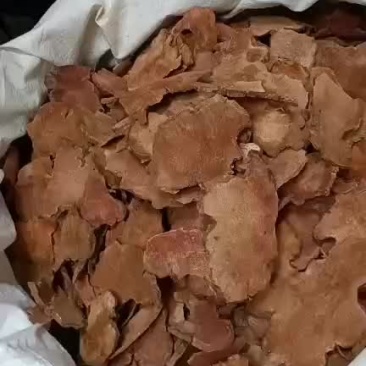 红肉土茯芩，无硫土茯，选片