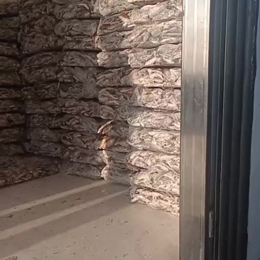 各种鲫鱼需要联系