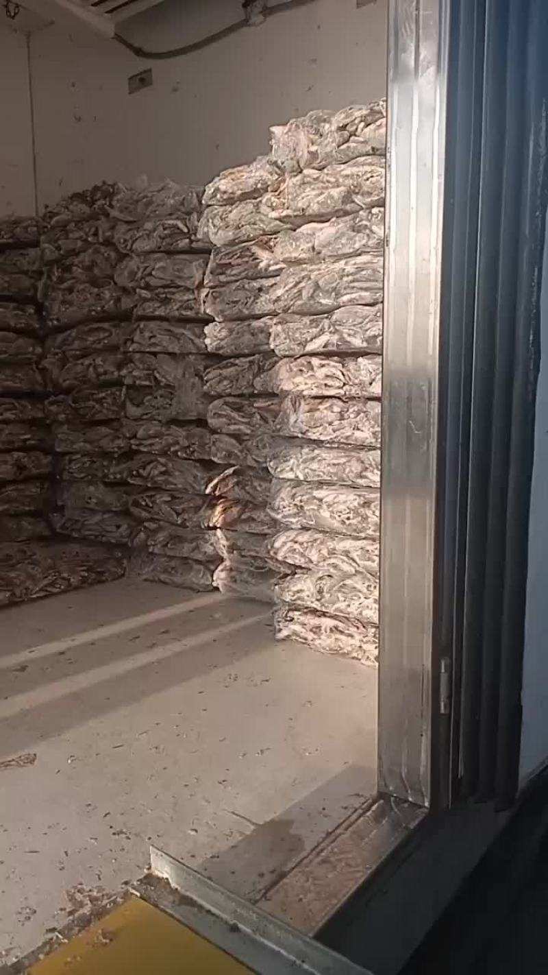 各种鲫鱼需要联系