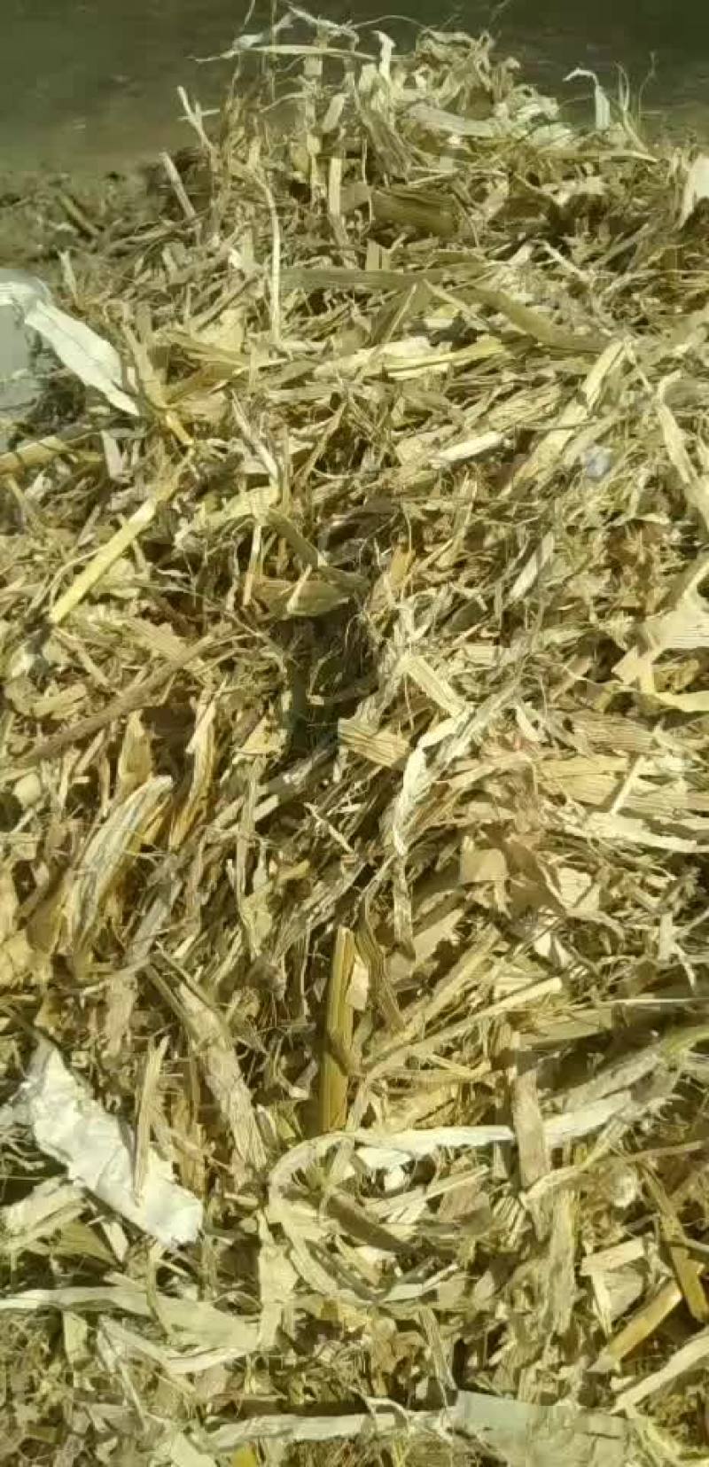 玉米秸秆柔丝小方包。