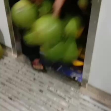海南万宁椰青，