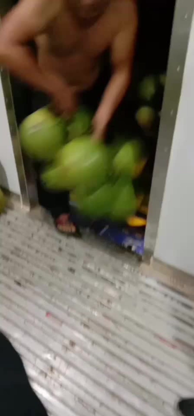 海南万宁椰青，
