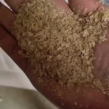 麸皮现货麸皮现货供应