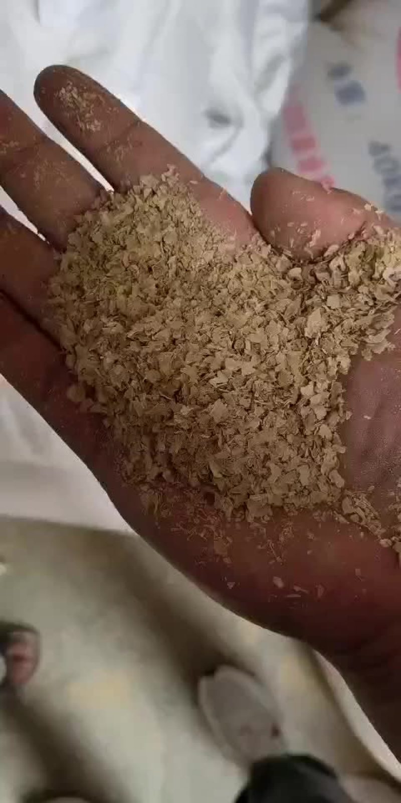 麸皮现货麸皮现货供应