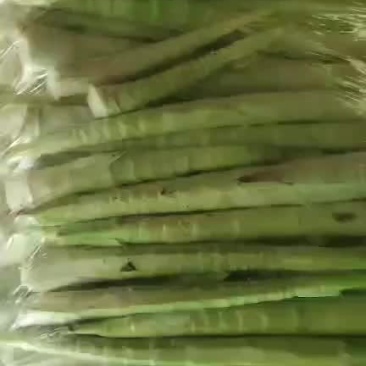 雷笋去壳白肉