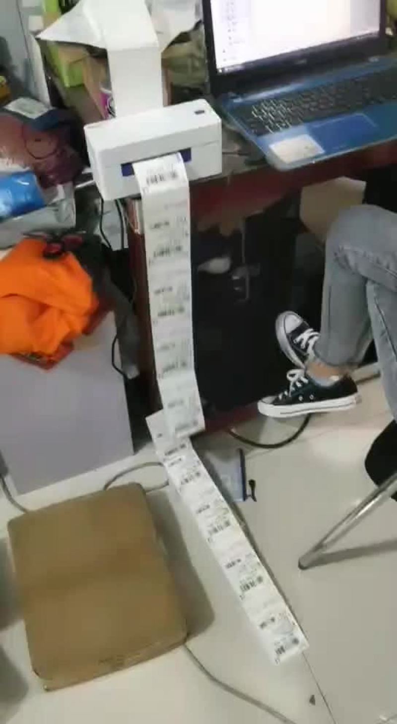 贞丰四月李