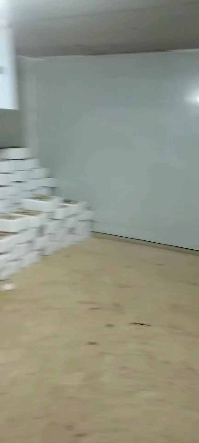 赤松茸大量供货，保质保量，各等级，冷链运输，机场运输