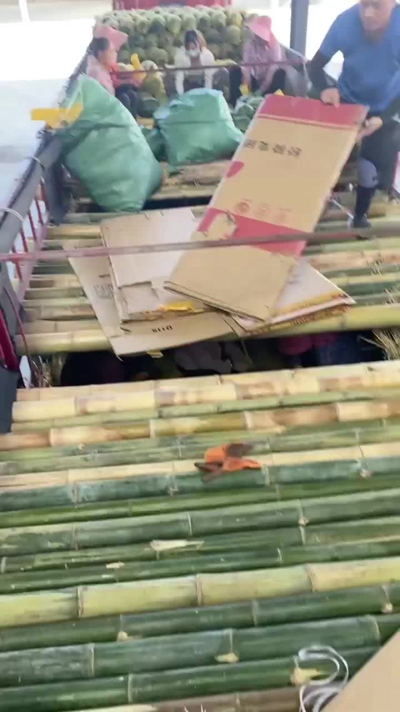 西瓜