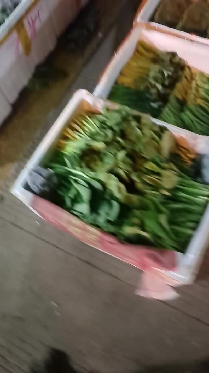 各种蔬菜