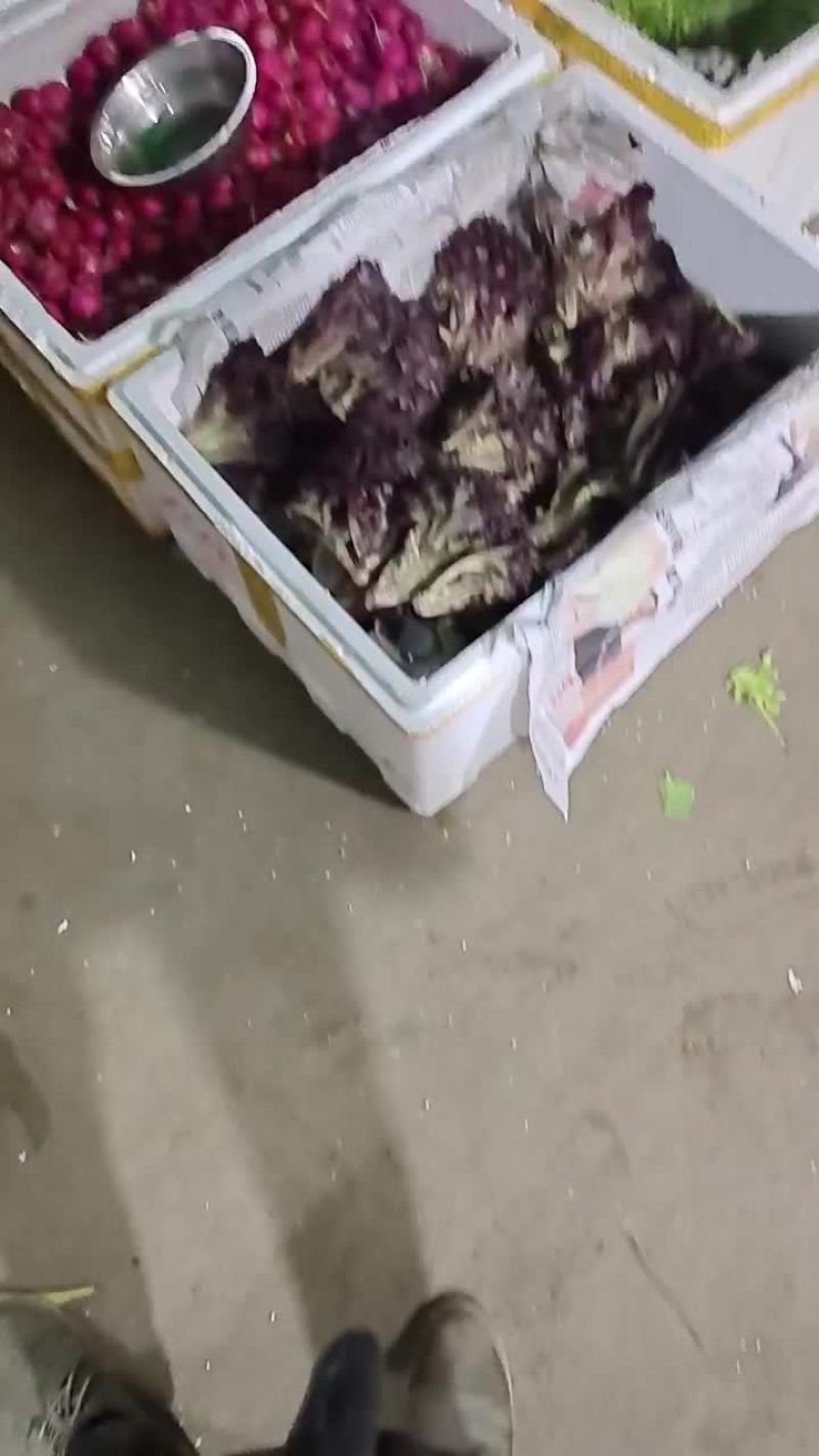各种蔬菜