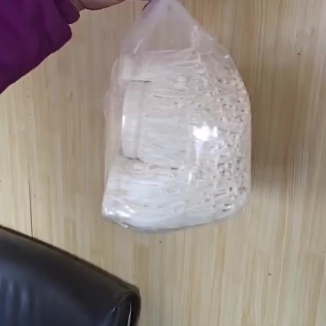 焦佳菇行