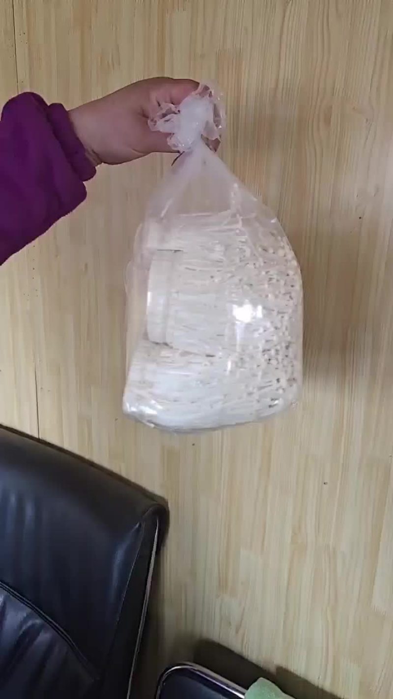 焦佳菇行