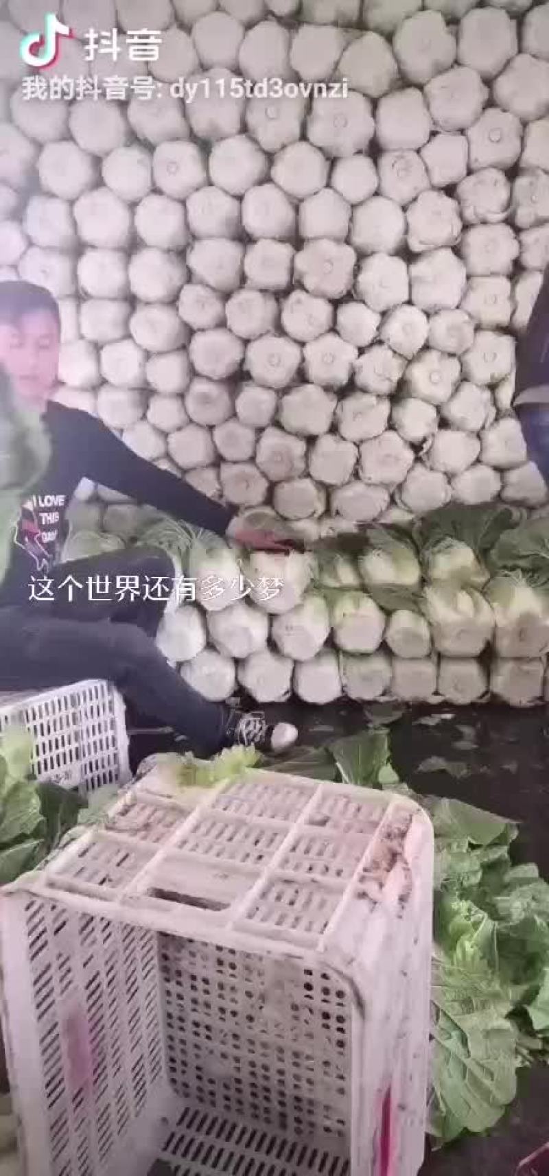 青椒白菜