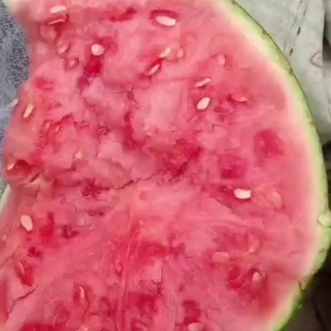 夏邑8424