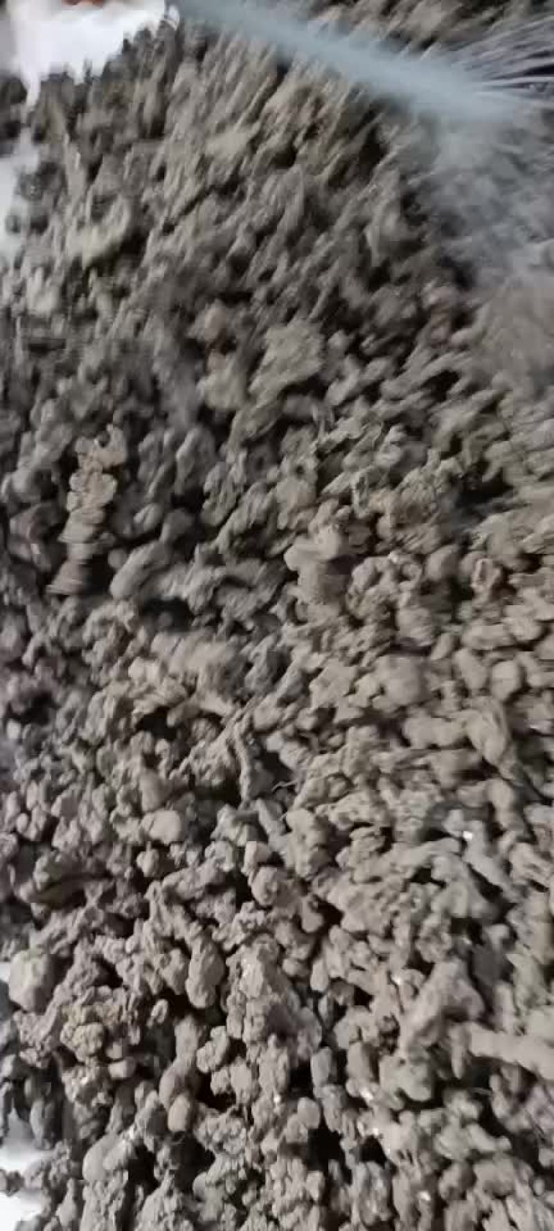猪苓专营