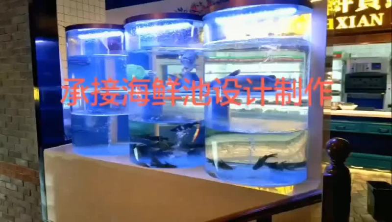 专业定制海鲜池、贝类池冷冻库、鱼缸、来电优惠