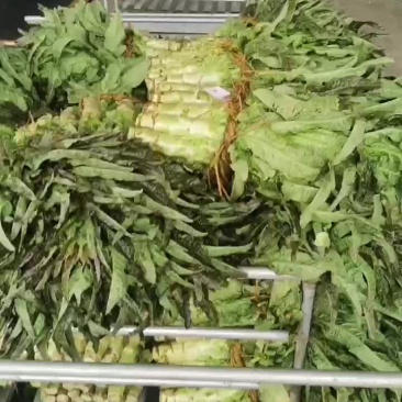 蔬菜