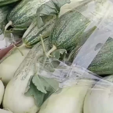甜瓜大量上市