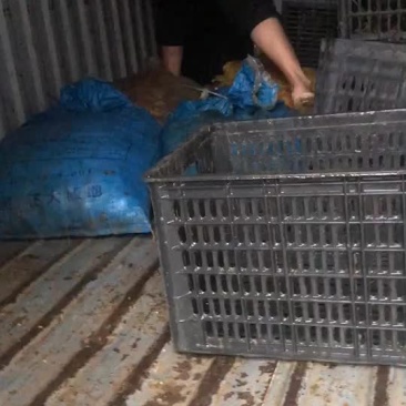 大量收购蜗牛