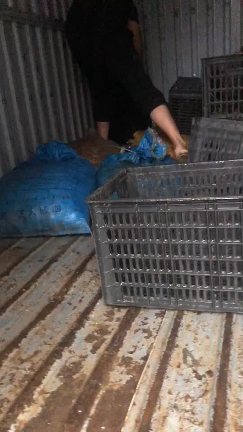 大量收购蜗牛