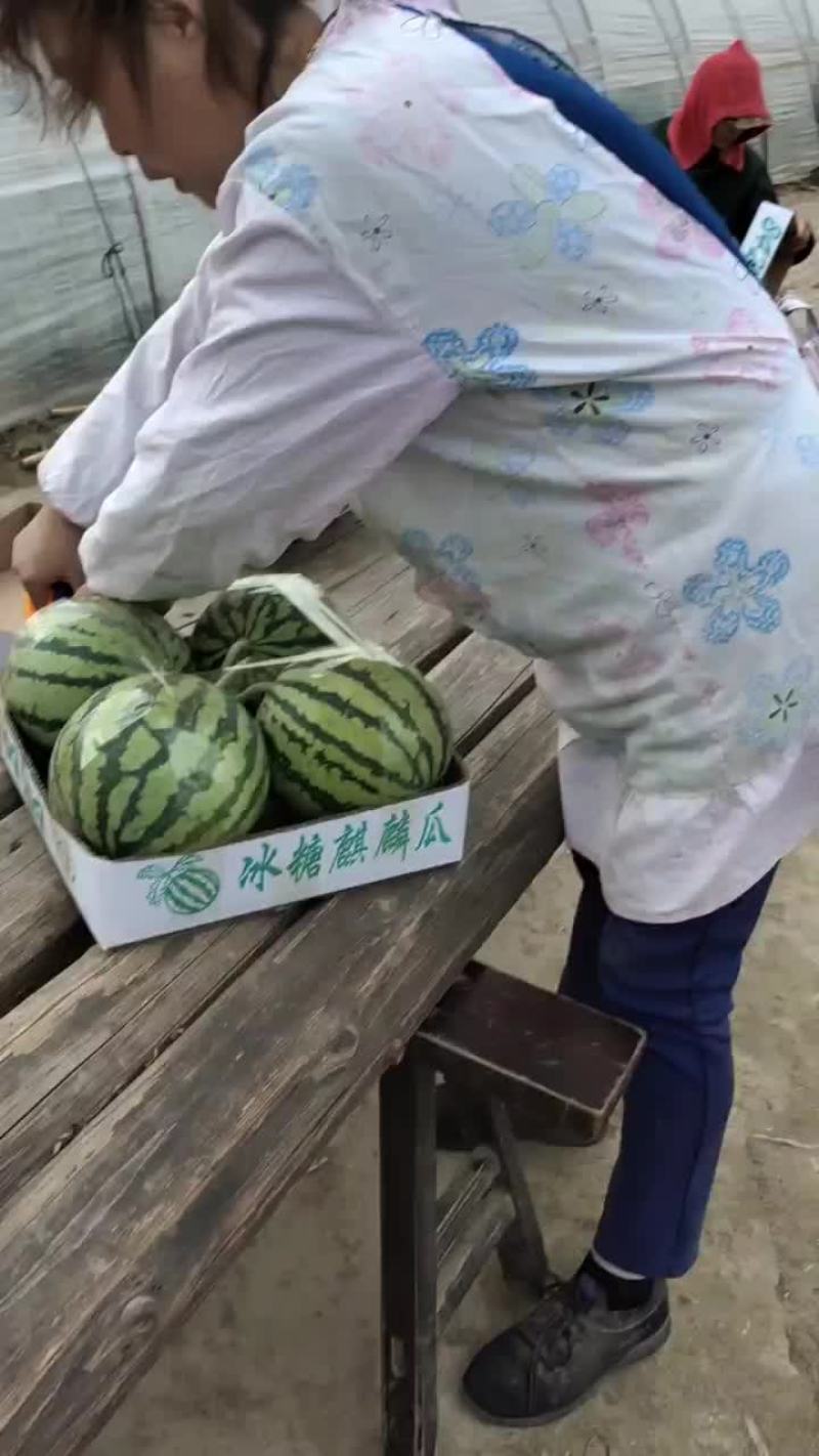 东台西瓜大量上市中，欢迎各地客户前来选购