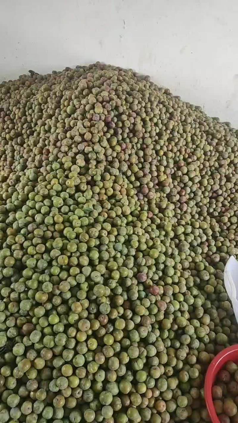 云南三华李