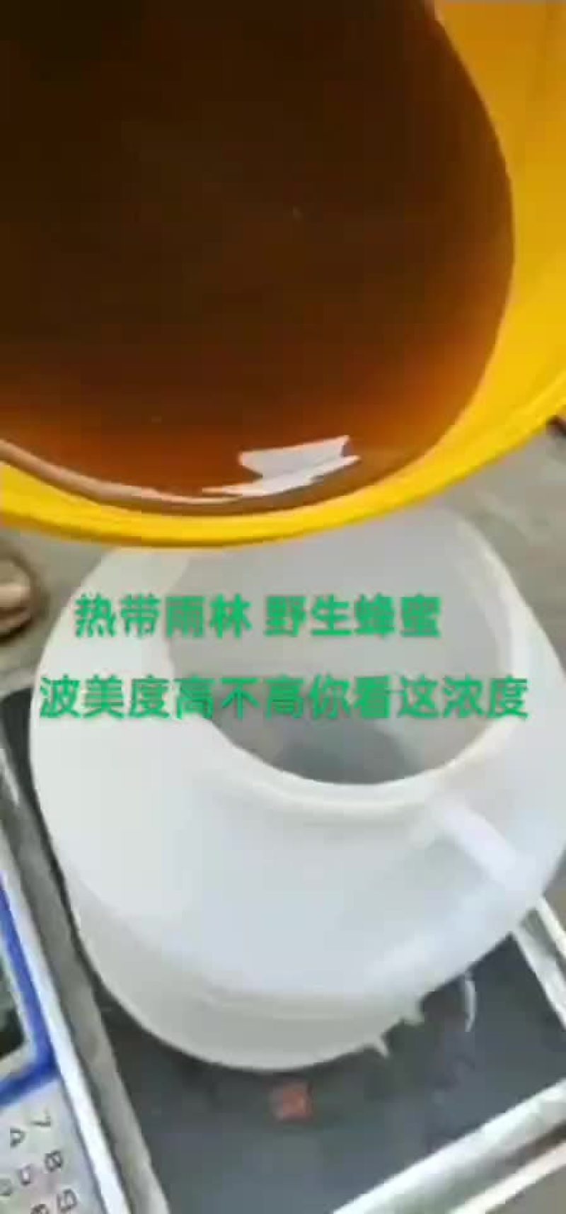 原始森林野生蜂蜜