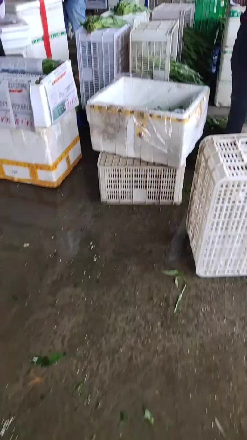 空心菜，红苋菜