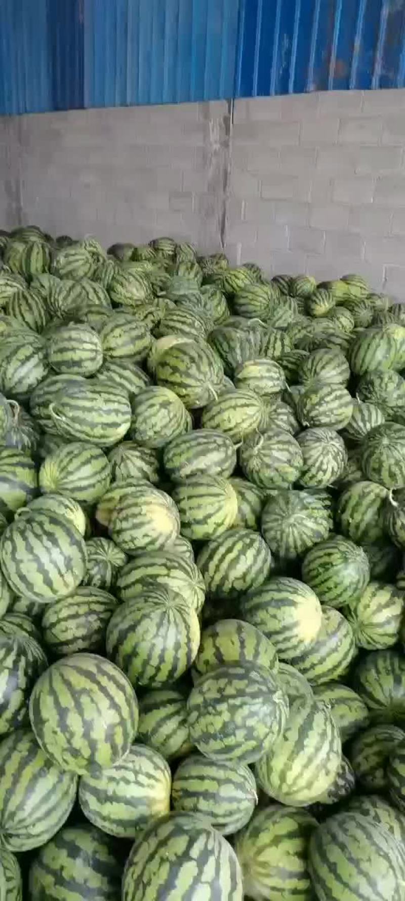 西瓜~甜王