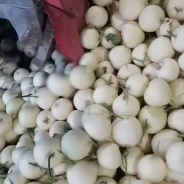 大量上市大量上市