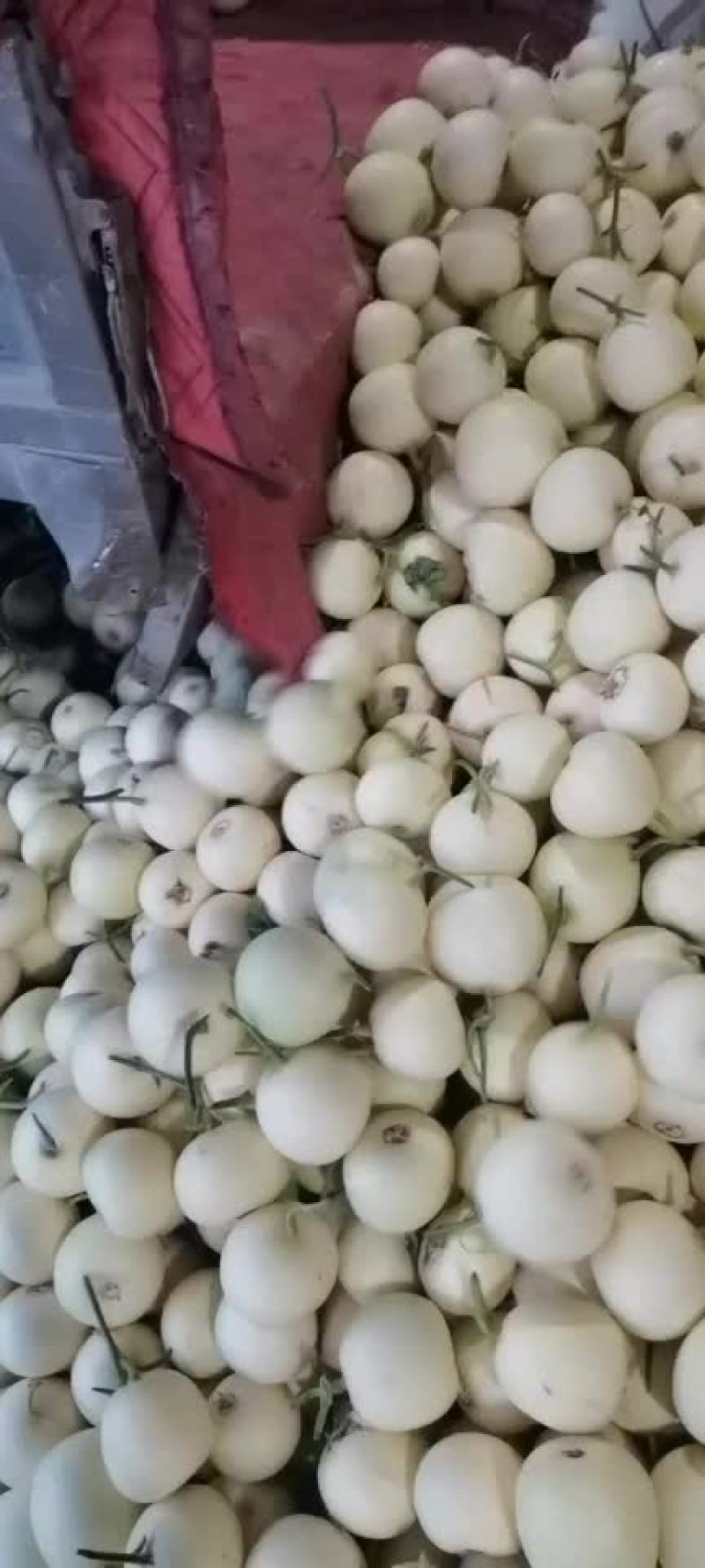 大量上市大量上市