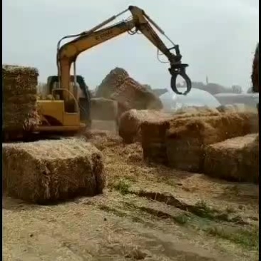 小麦秸秆