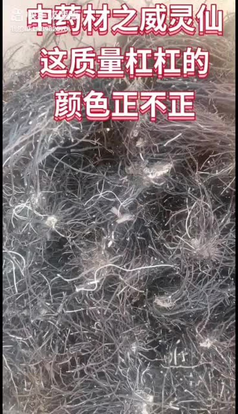 威灵仙
