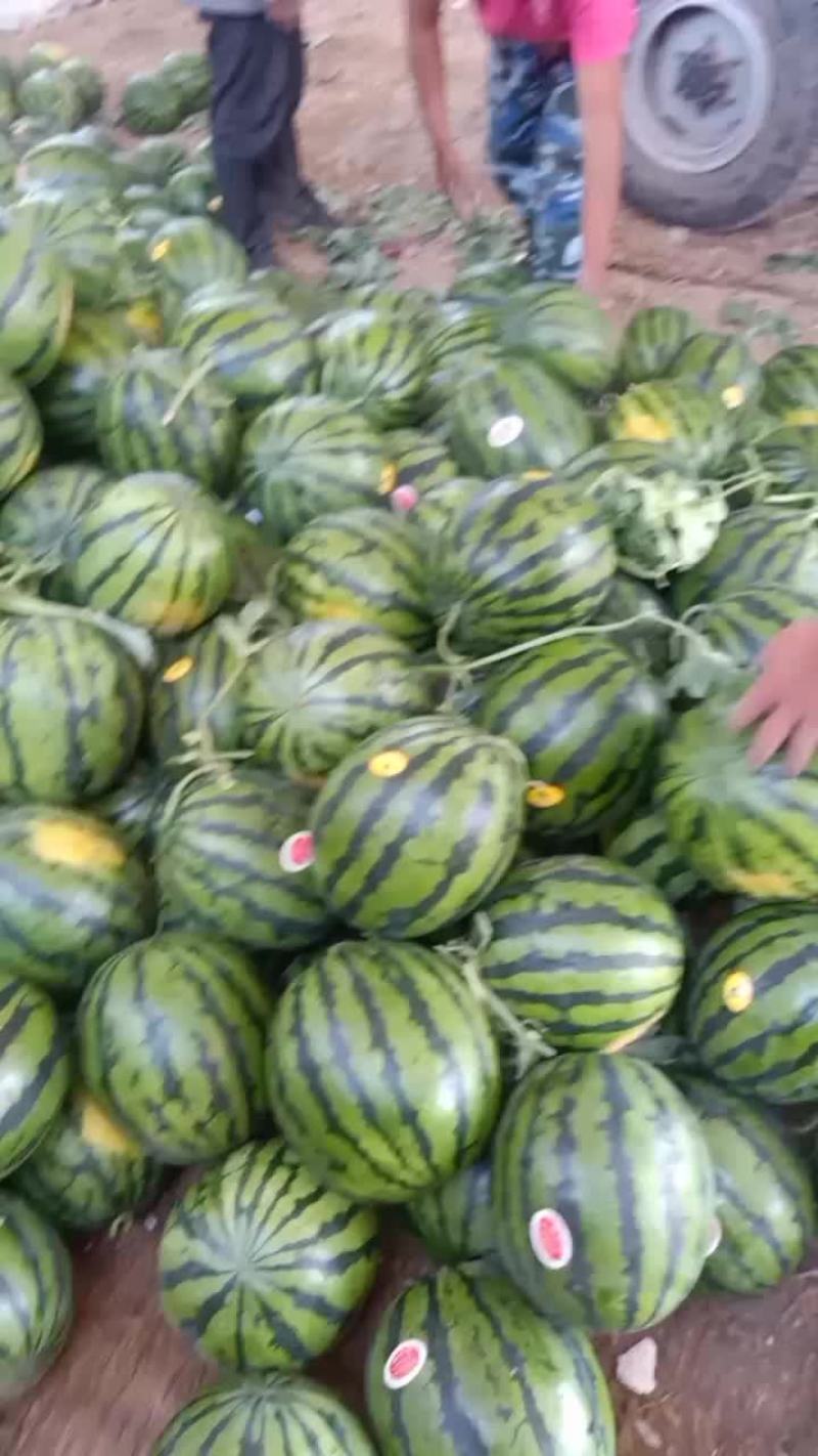 西瓜