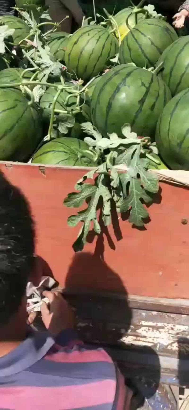 西瓜