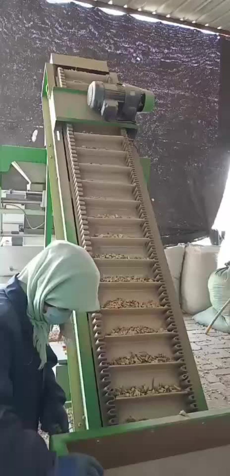 芦根色选，大小分选！！！