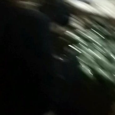 博洋