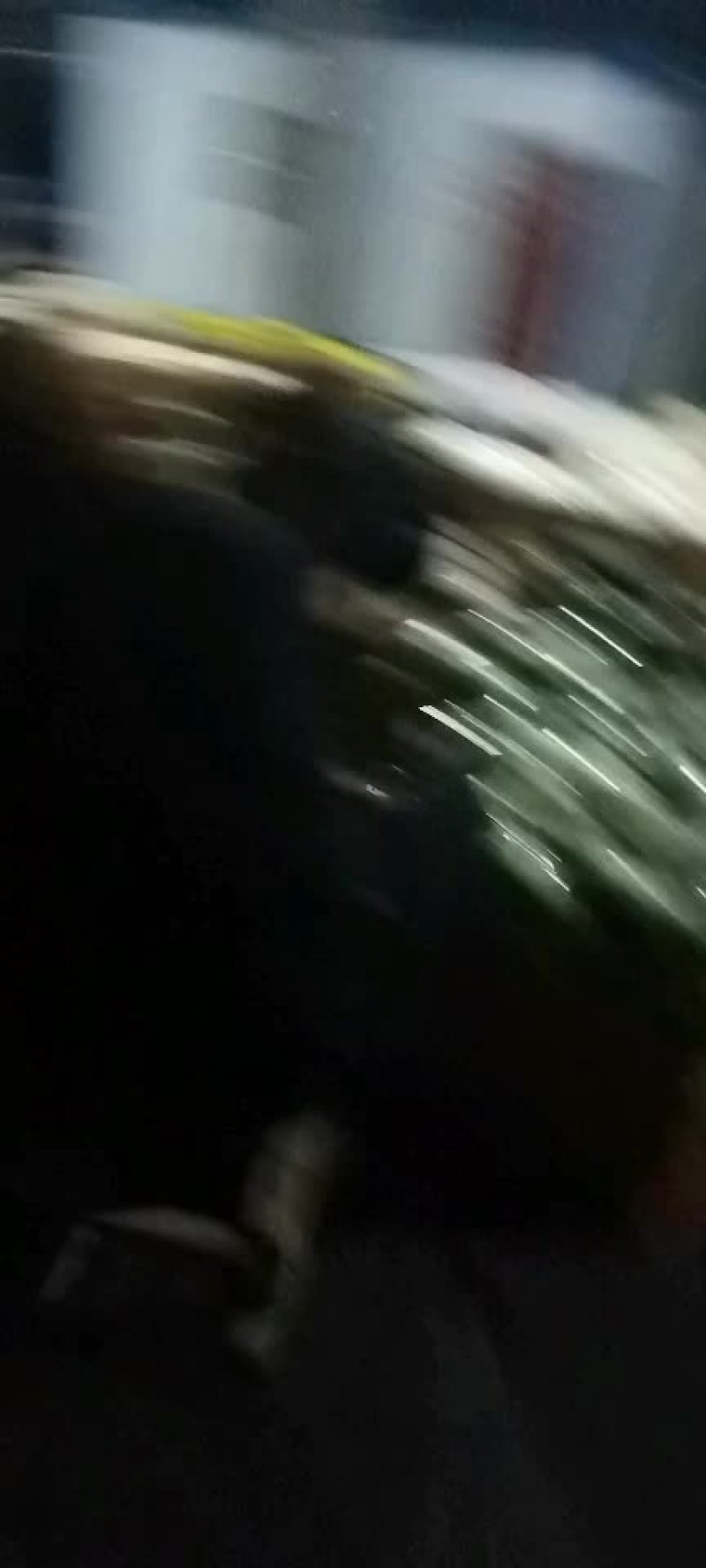 博洋