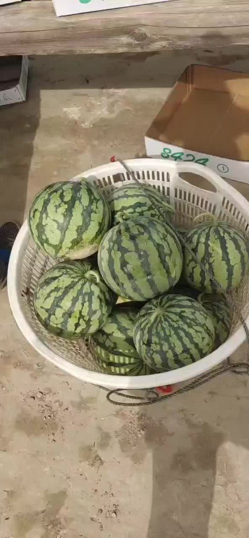 东台八四二四最生的八成以上