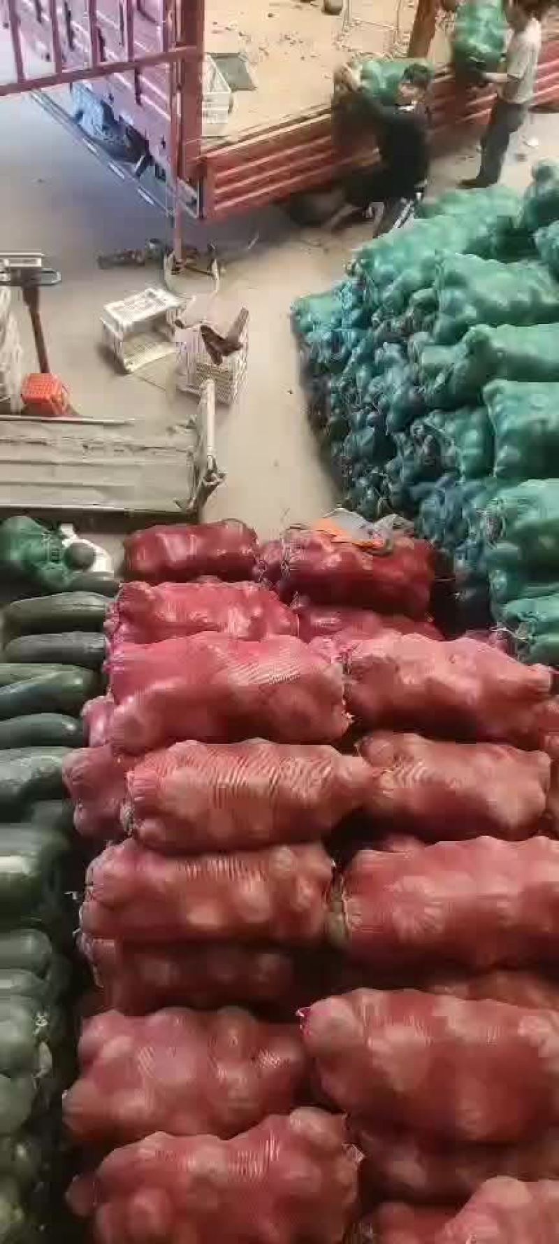 黑皮冬瓜