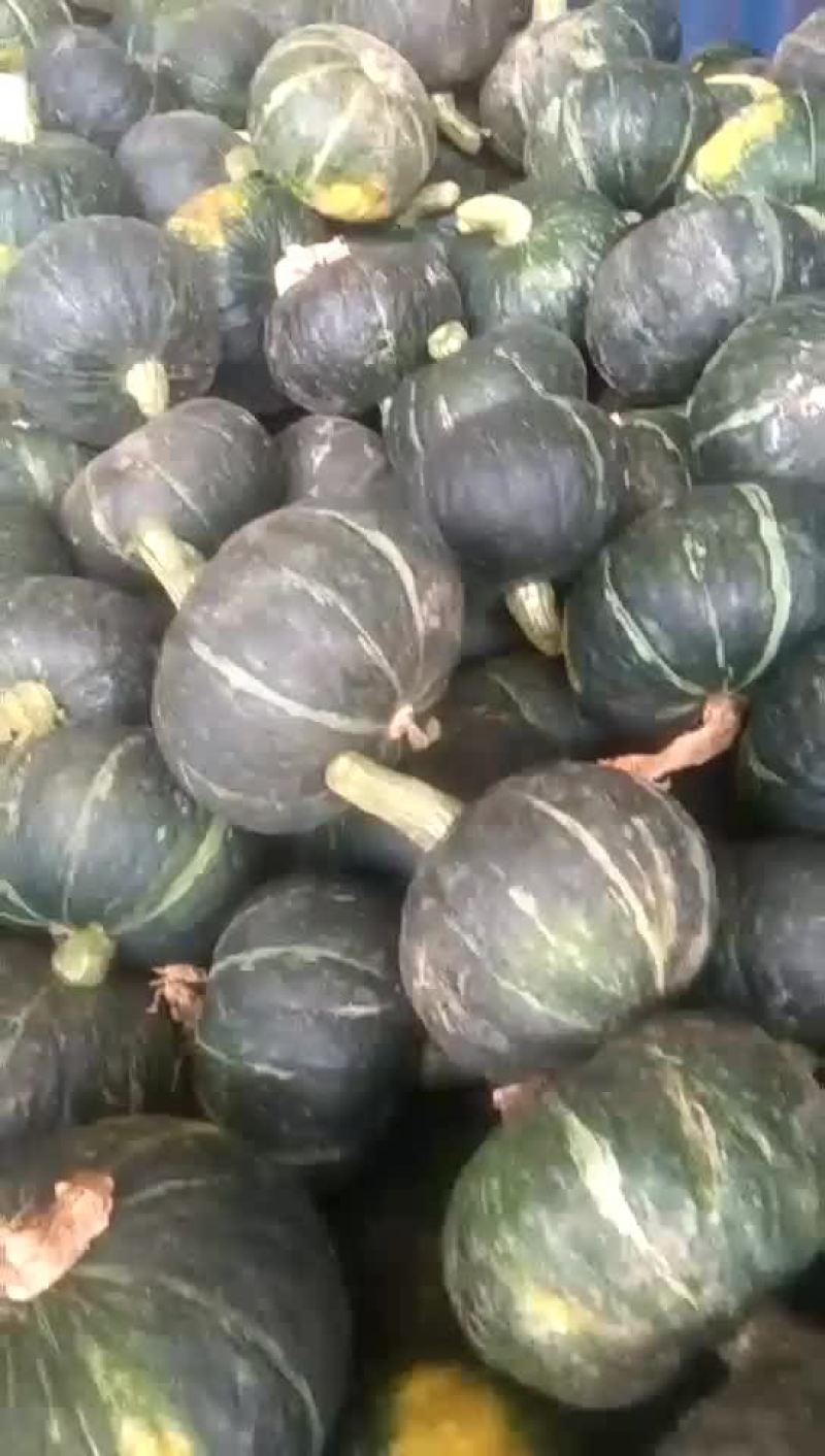 南瓜