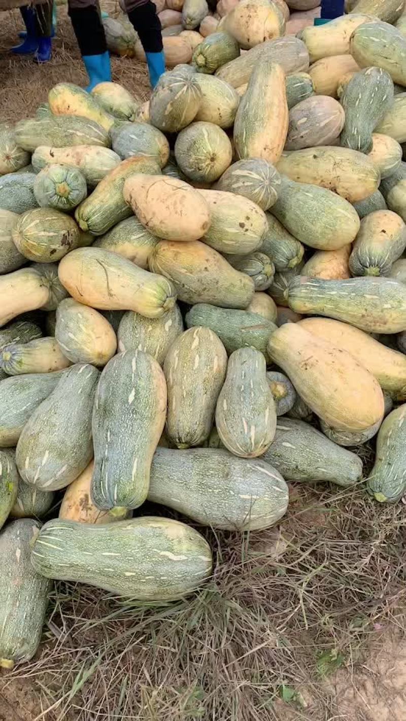 饭堂南瓜