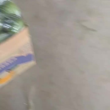 甜瓜山东甜瓜大量供应品类丰富货源充足全国发货