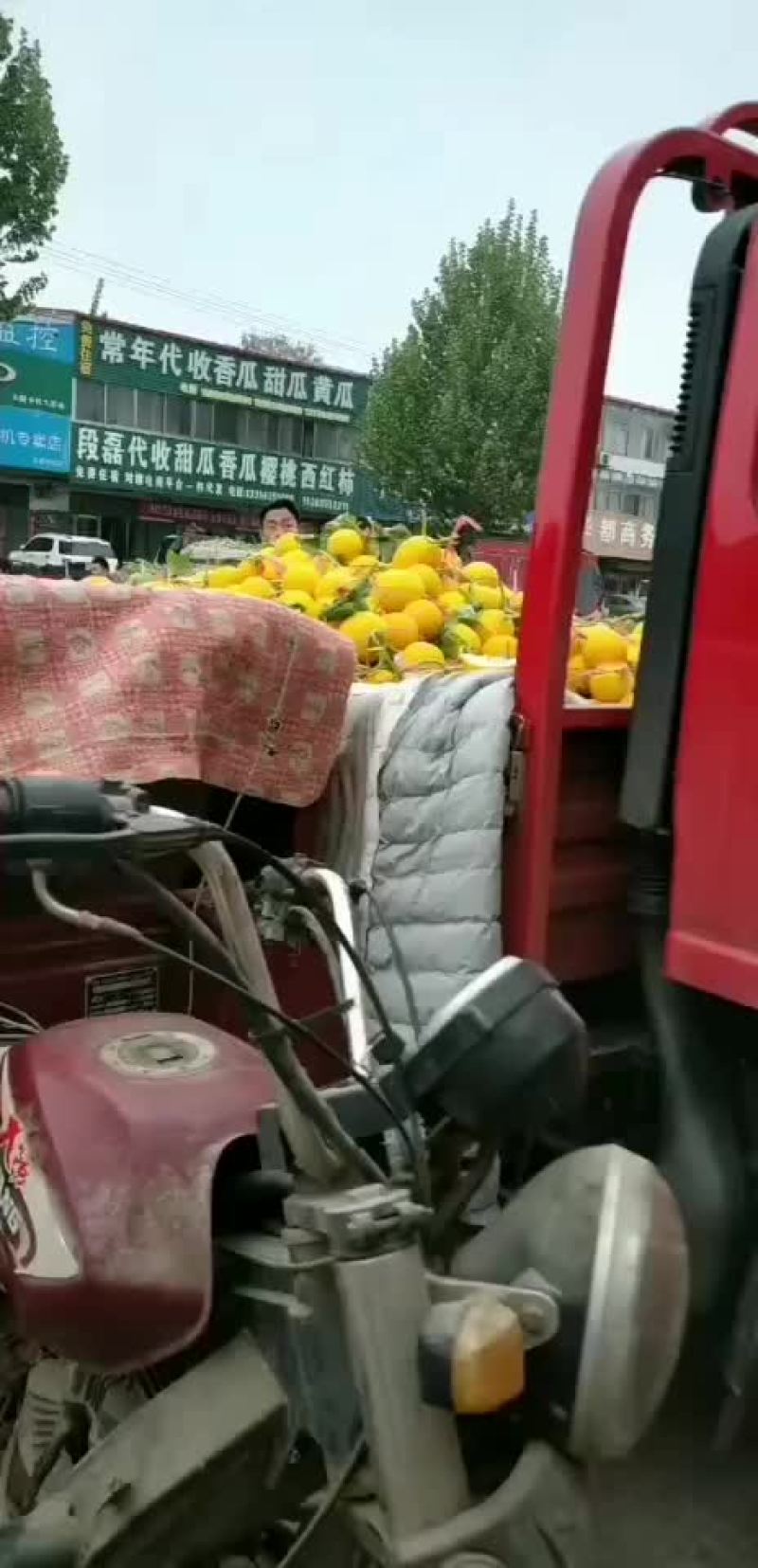 瑞红又便宜了，精品瑞红，二级瑞红，黄皮原产地现摘现发保熟