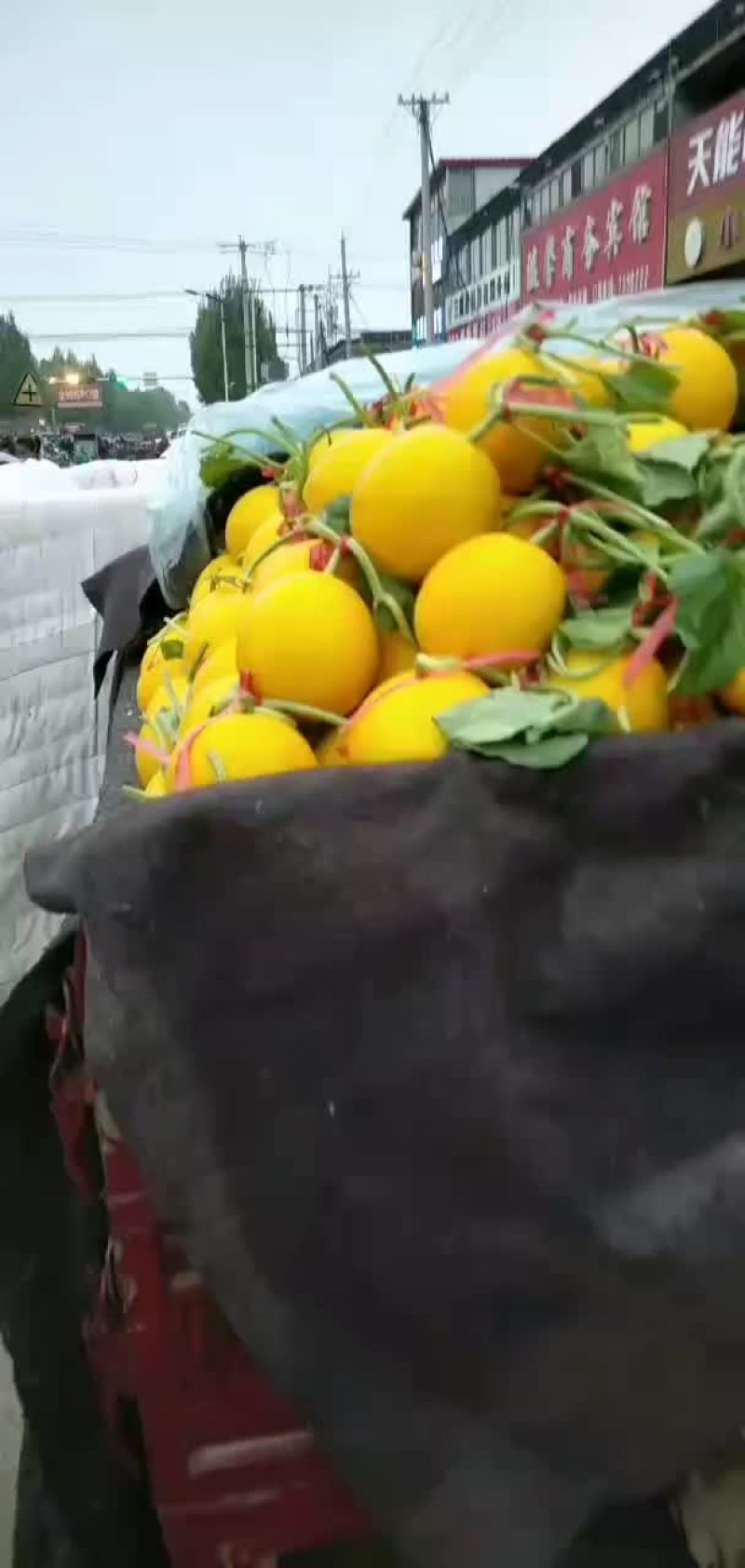 瑞红又便宜了，精品瑞红，二级瑞红，黄皮原产地现摘现发保熟