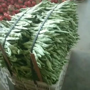 代收蔬菜