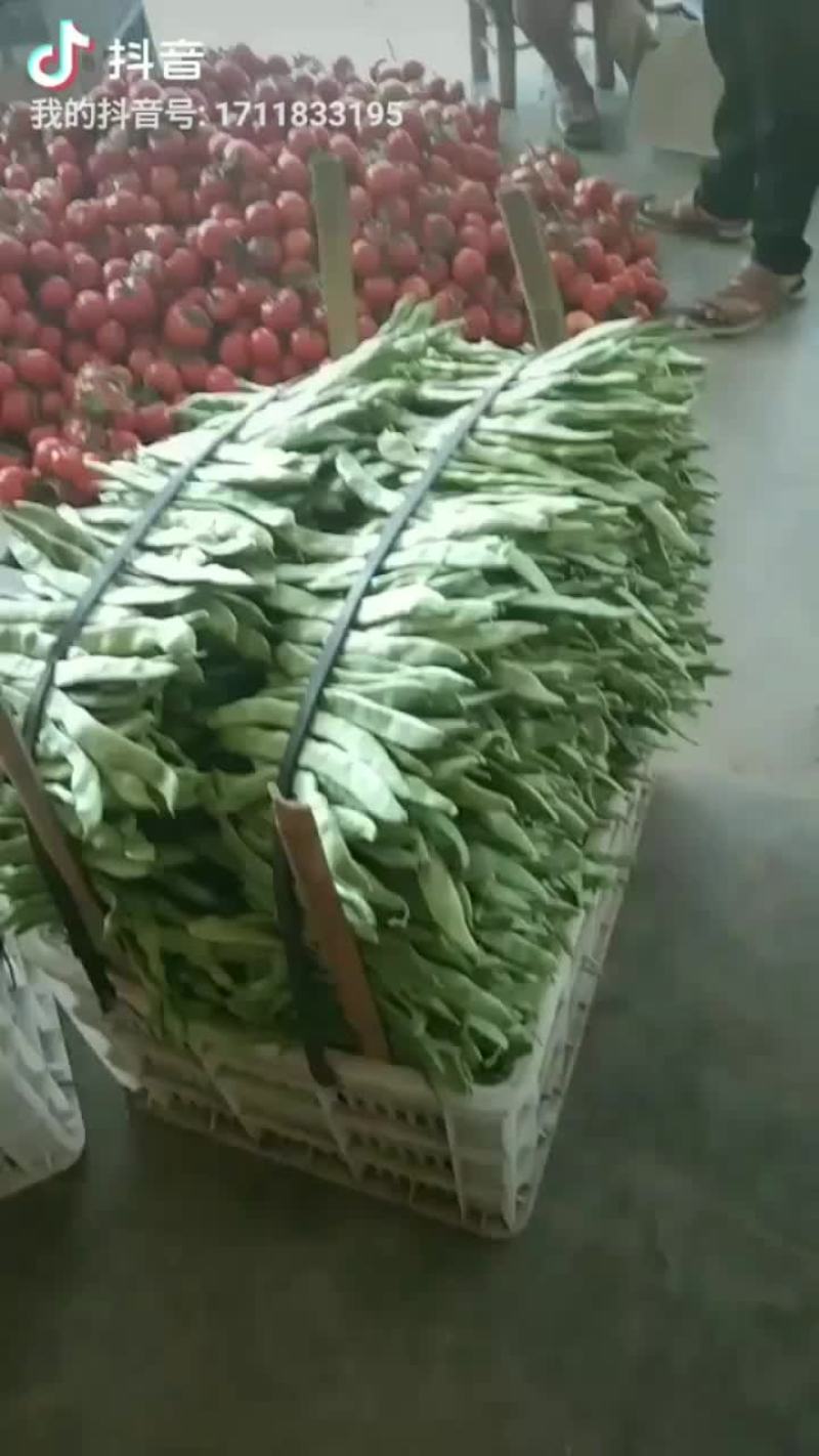 代收蔬菜