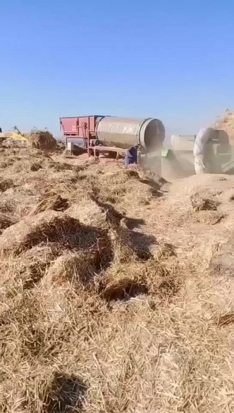 [麦草秸秆批发]河南南阳邓州市秸秆类原料 800.00元/吨麦草 _ 一亩田
